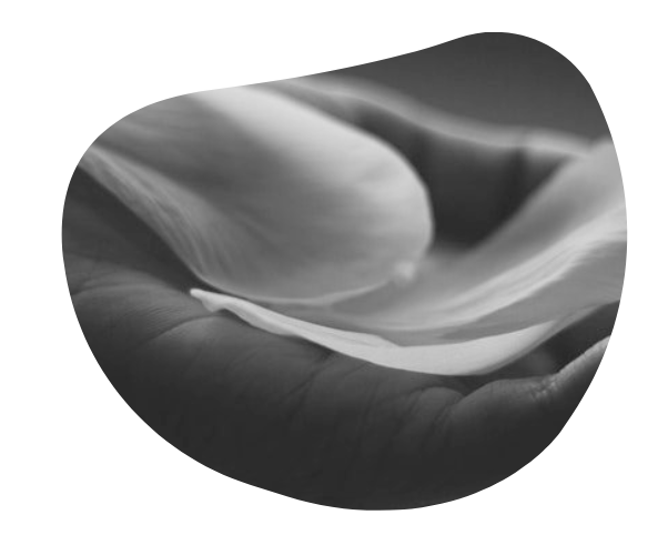 Blog-Title